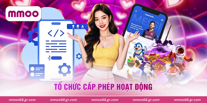 Tổ chức cấp phép hoạt động